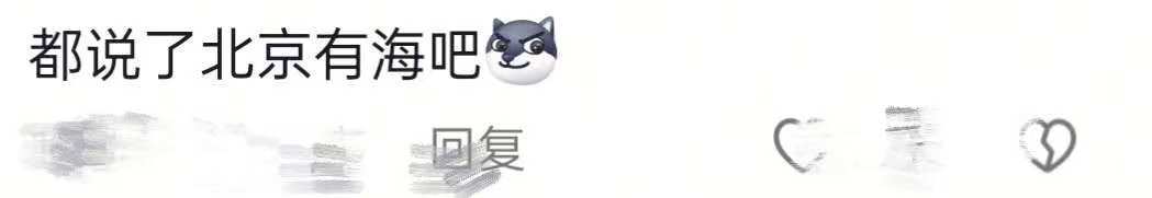 “都说了北京有海吧!”颐和园昆明湖水面被大风吹出“海浪”,网友:豆汁开锅了吗?