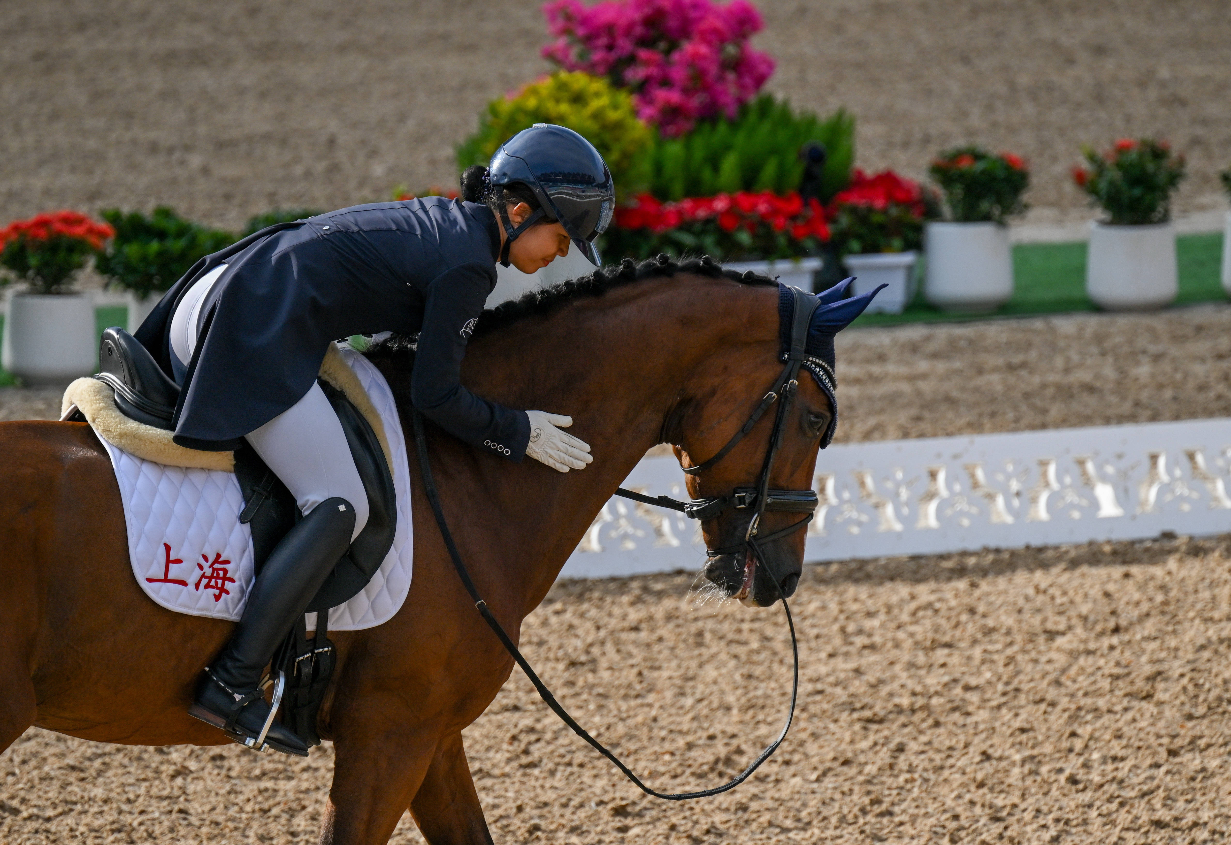 全运会 | 小科普:马术比赛,给不给马颁奖?