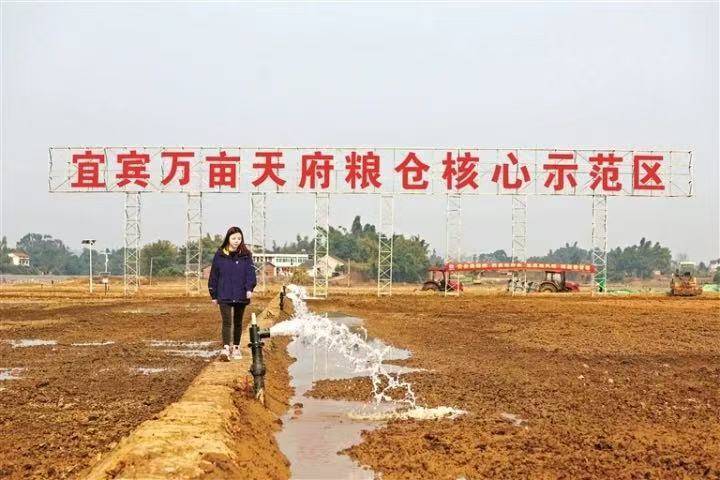 法治面｜为整治土地“非粮化”百亩苗圃被毁，四川高院裁定提审