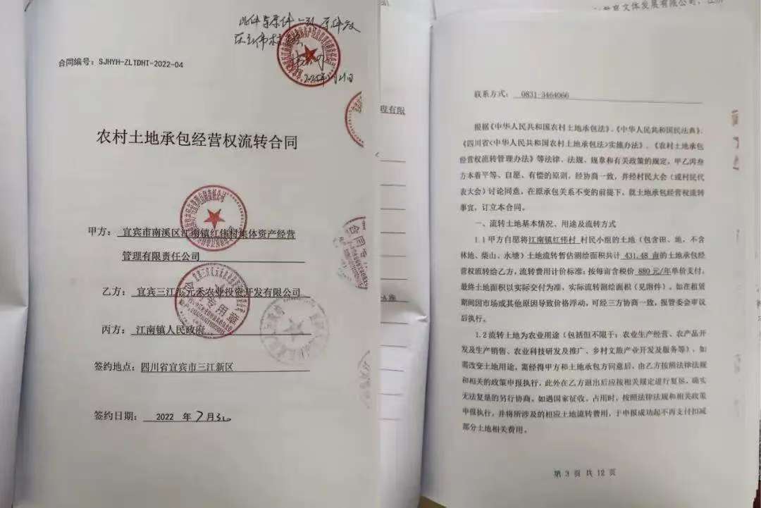 法治面｜为整治土地“非粮化”百亩苗圃被毁，四川高院裁定提审