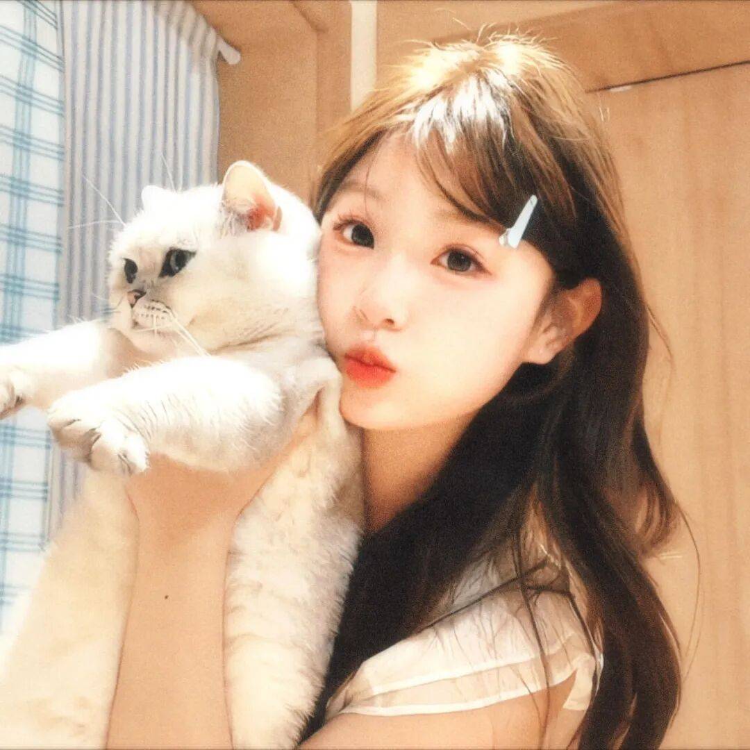 丨 女头像丨气质拉满