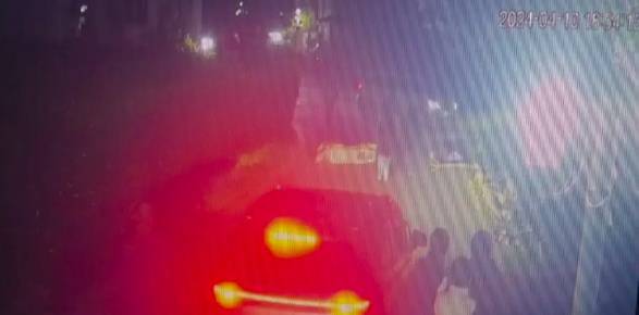 上海男子小区内醉酒骑车被树枝绊倒致八级伤残，索赔40多万元