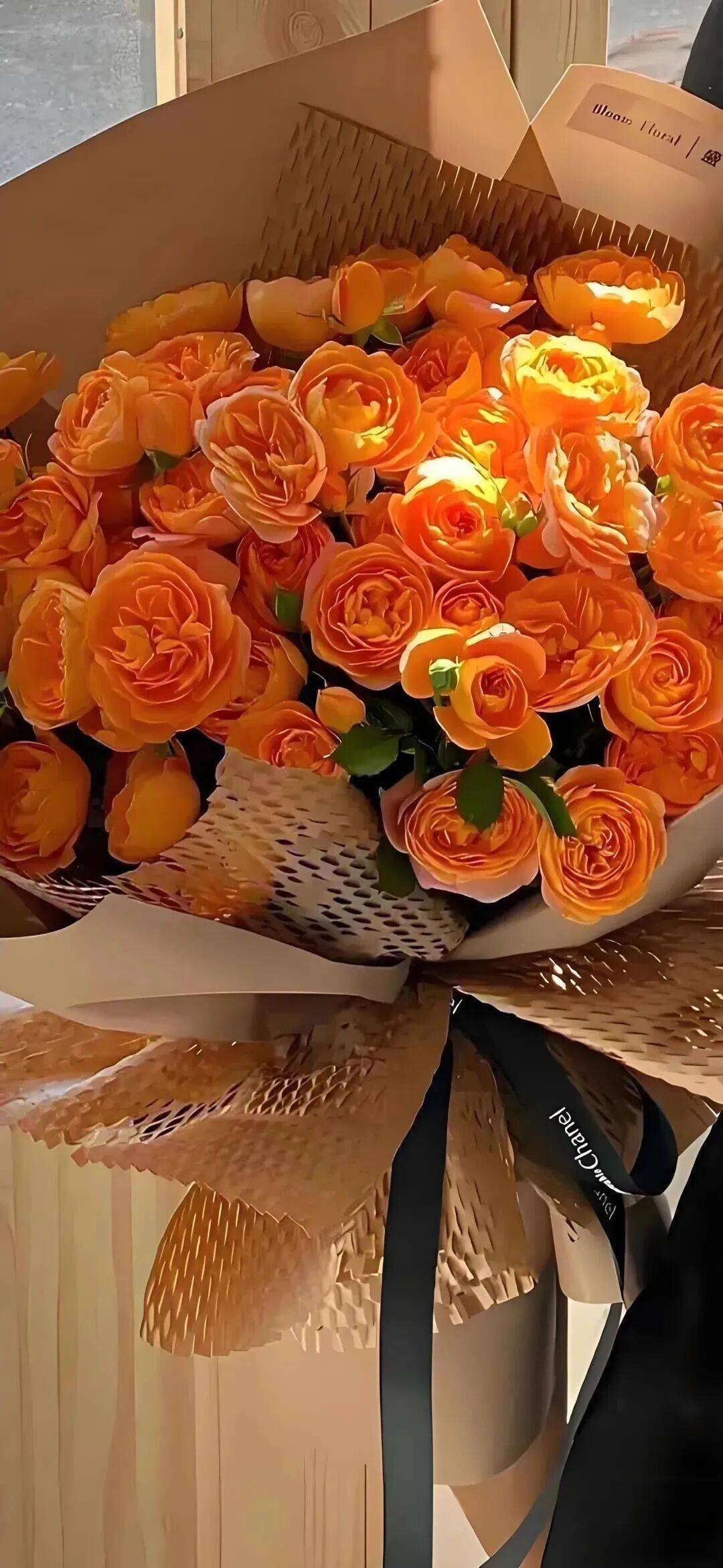 壁纸 | ins风手机壁纸