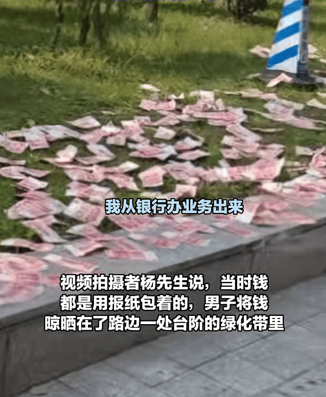 男子将大量现金在绿化带摊开晾晒！目击者：那一堆估计有10万