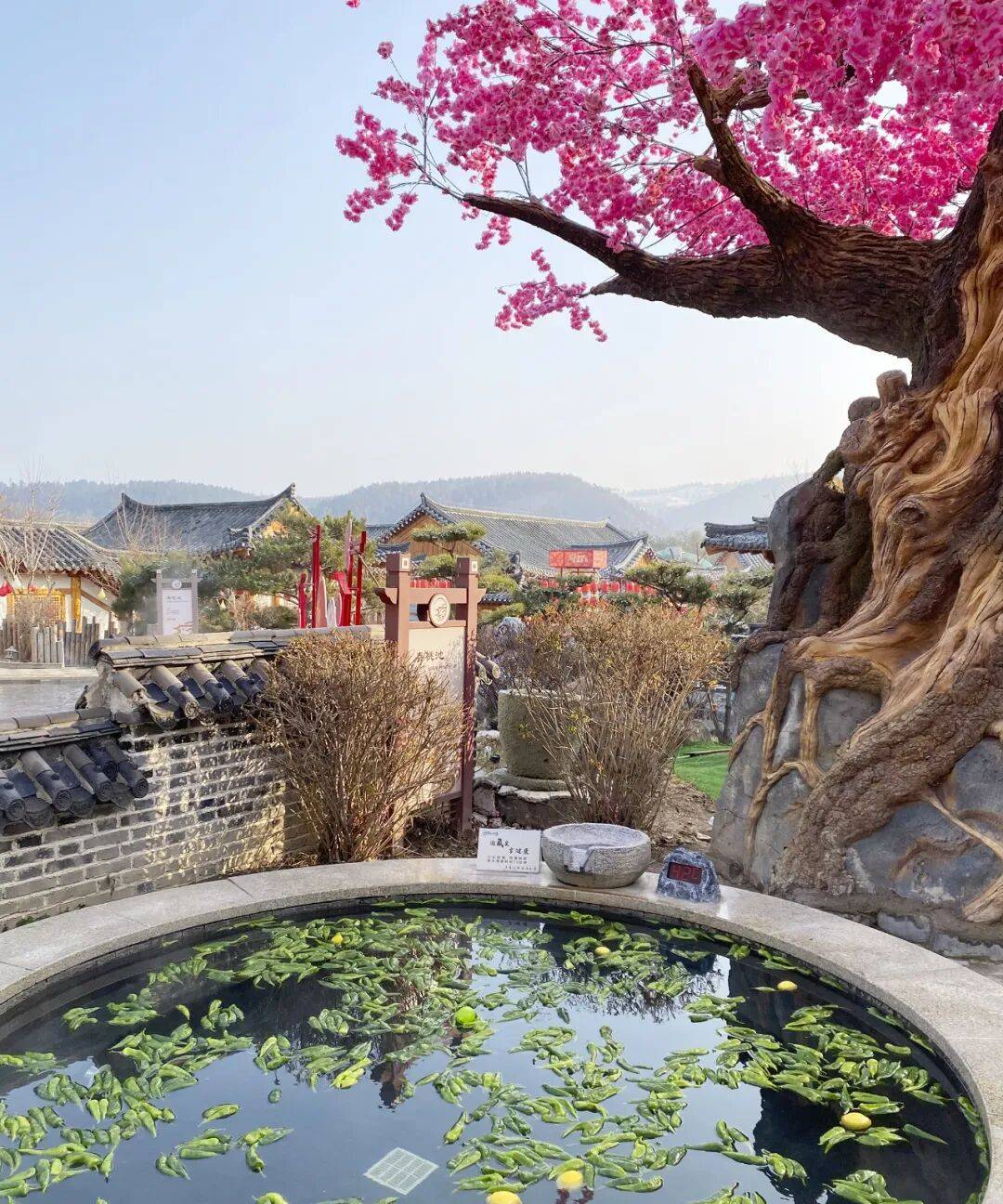 开云体育- 开云体育官方网站- APP下载非凡“十四五” 奋