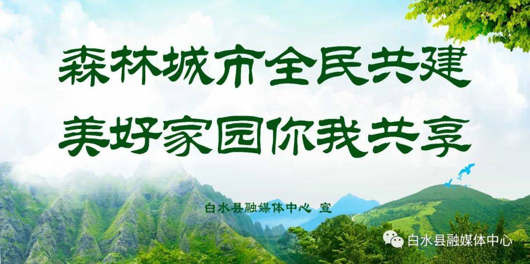 白水县林皋镇:集中清理农业废弃物 改善农村人居环境