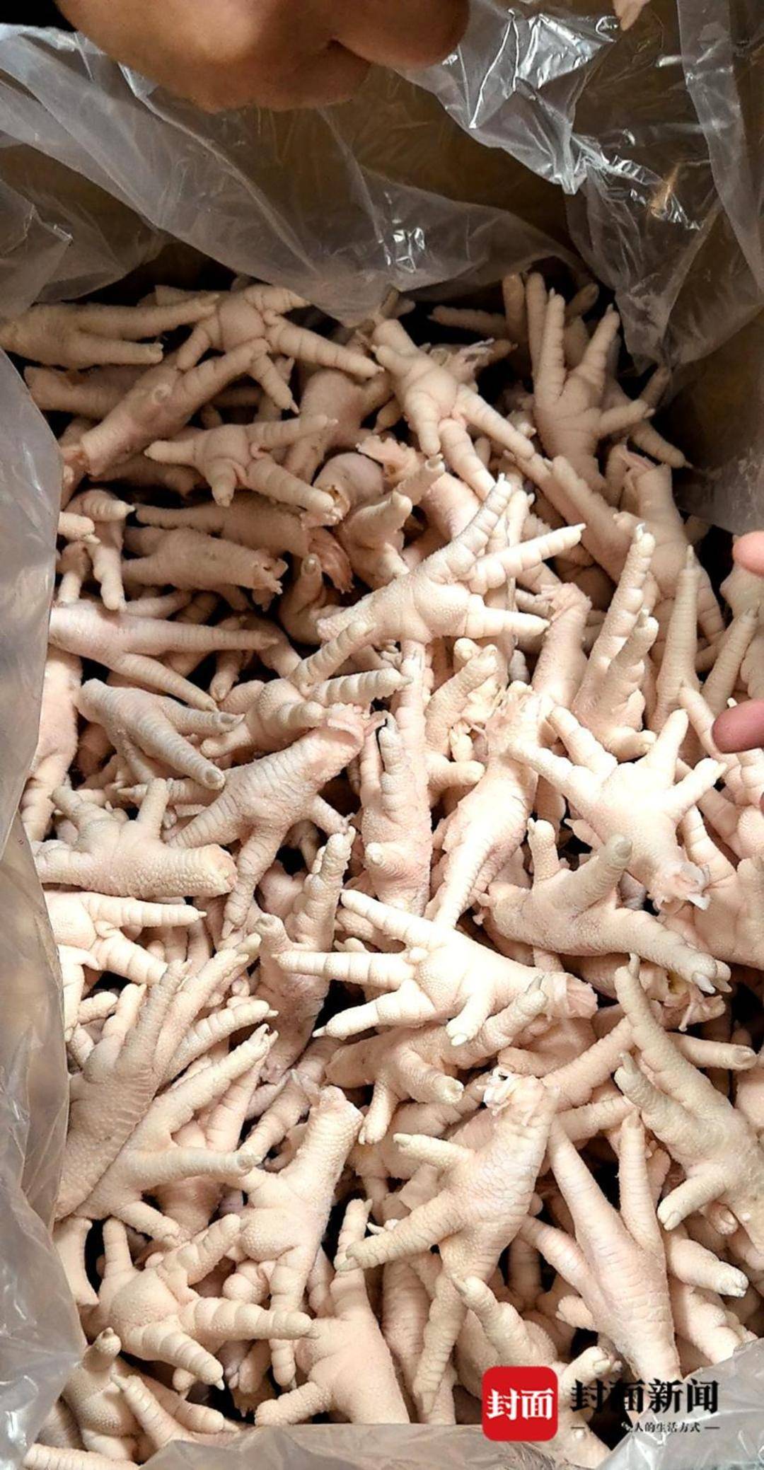 7.8吨冷冻猪脚失踪疑云追踪:同一辆车运鸡爪同样偏航被扣押(图6)