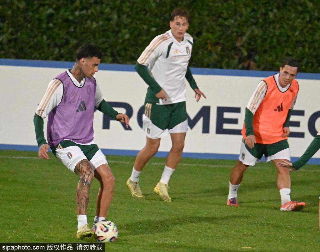 明年谁能问鼎？世界杯冠军排行&历届冠军一览：巴西5冠，德意4冠_搜狐网