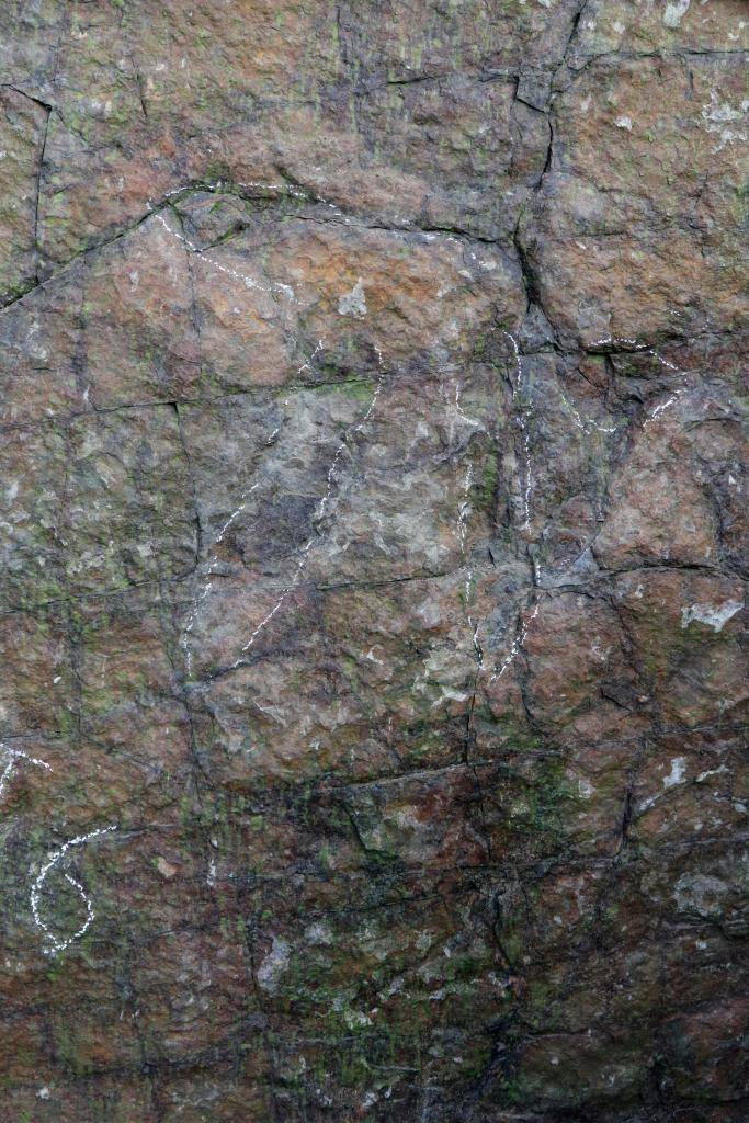 四川都江堰首次发现2亿年前恐龙踩下的“时光脚印”