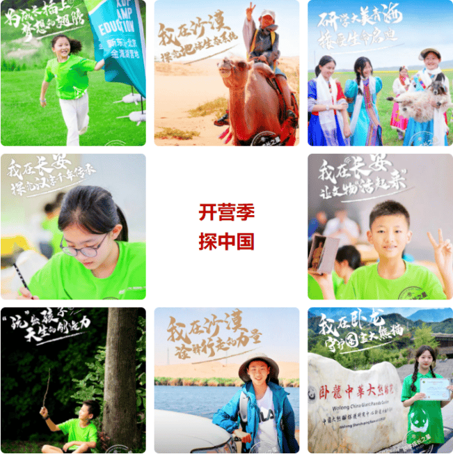 从“南极贺信”风波，看新东方转型之痛