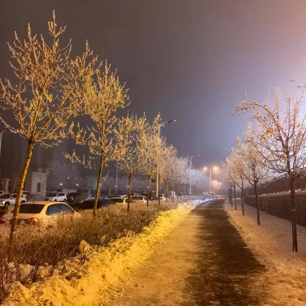 头条开新年入夜街道,有雪有灯,景色冬夜。_搜狐网
