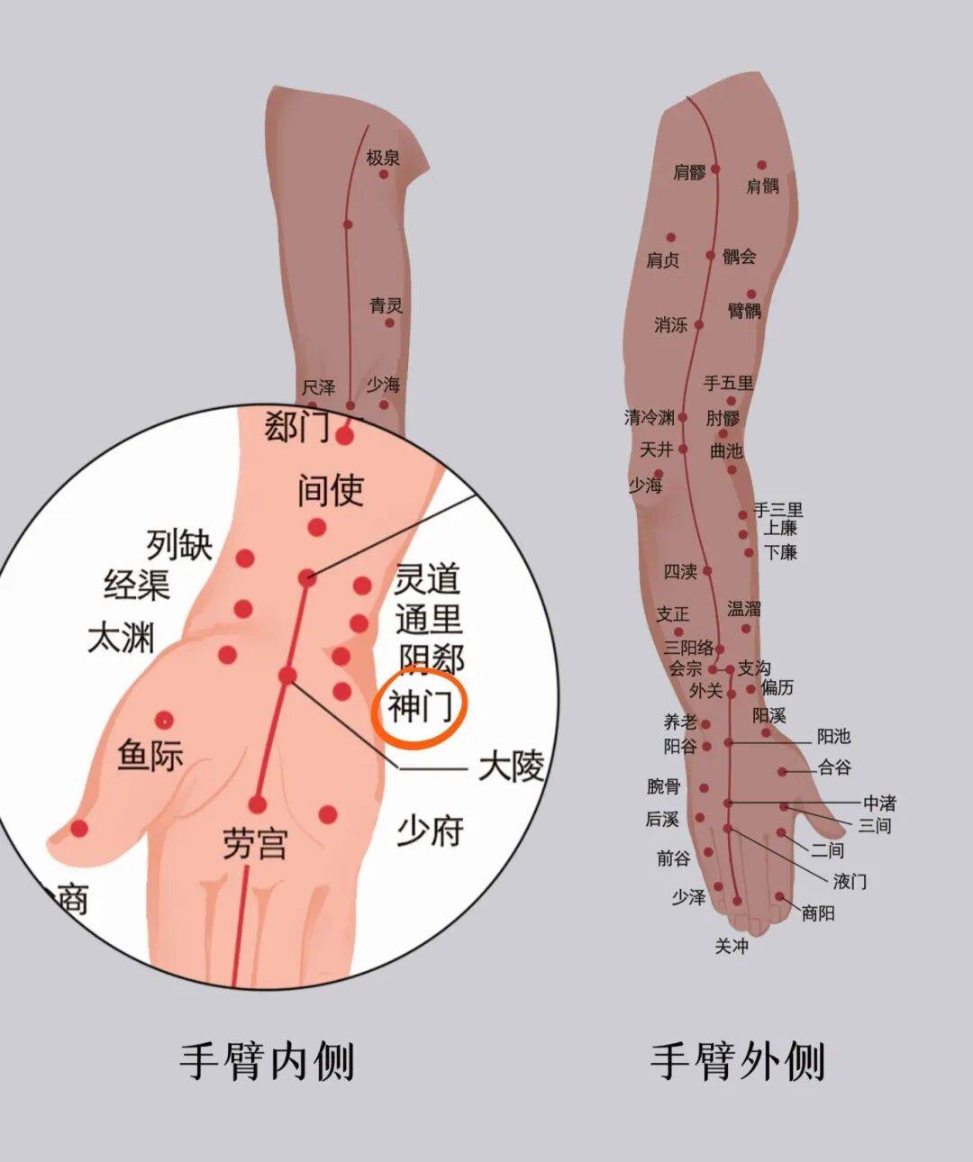1.神门穴:位于手腕内侧,小指侧腕横纹凹陷处