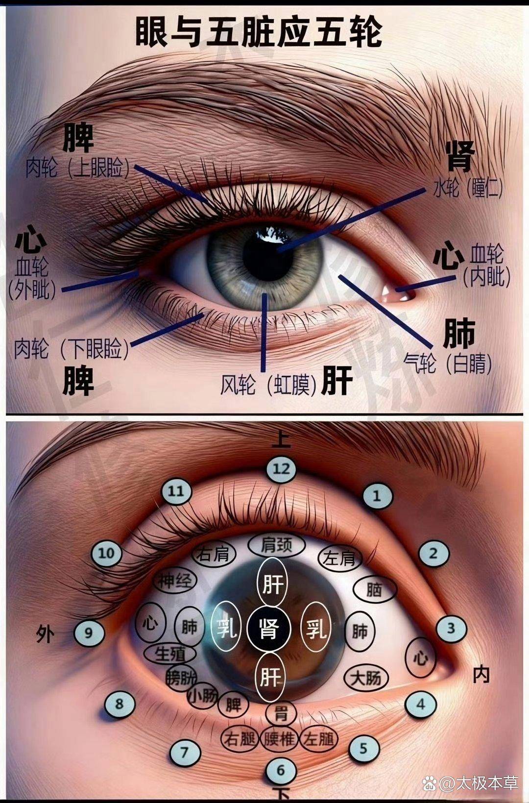 眼诊!