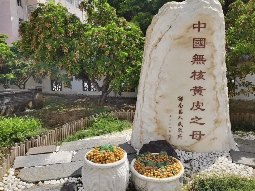 《云浮市郁南无核黄皮产业促进条例》诞生记_立法_种植_发展