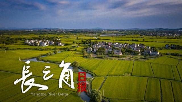 55岁浙商筹谋甩卖上市公司控股权，公司为特斯拉一级供应商_旭升_徐旭东_数据