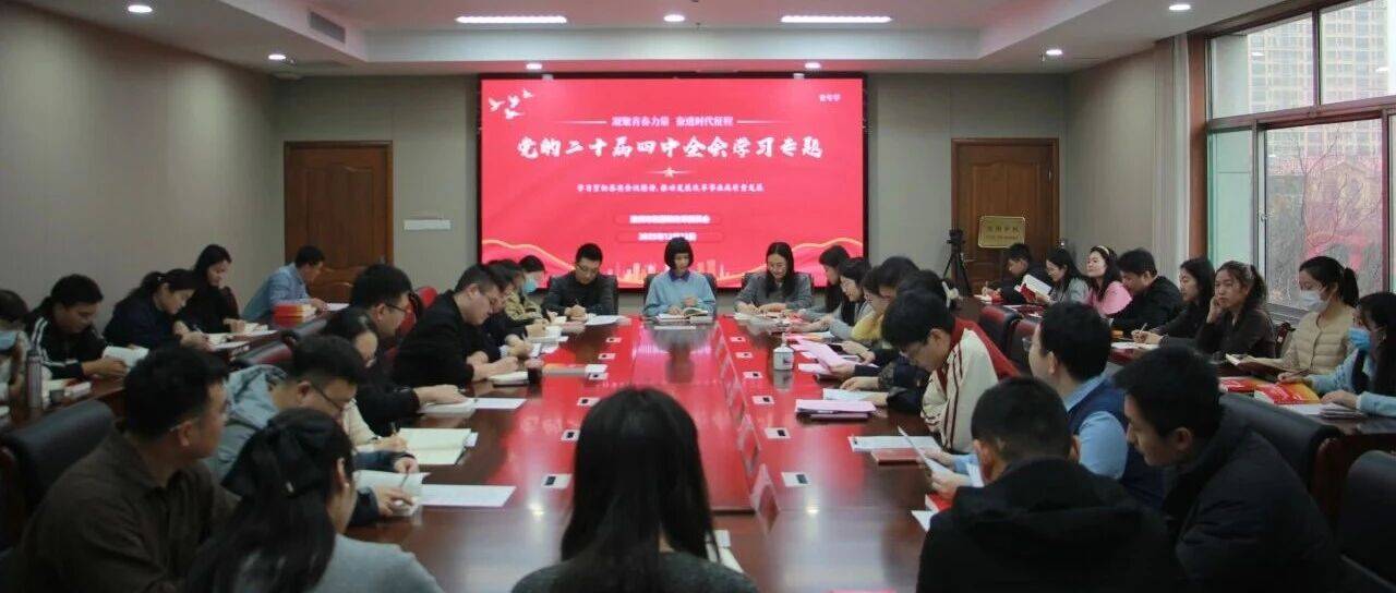【凝聚青春力量 奋进时代征程】市发展改革委举办青年干部学习党的二十届四中全会精神专题交流会_实践_陈新友_活动
