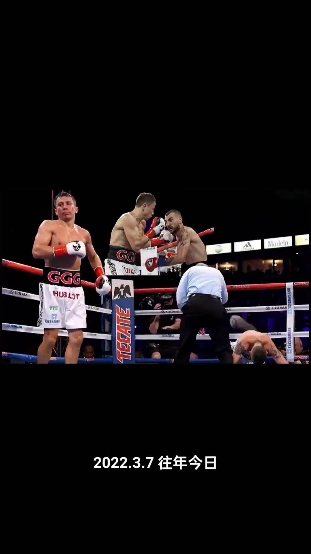 中量级王者戈洛夫金职业拳击拳击比赛_搜狐网