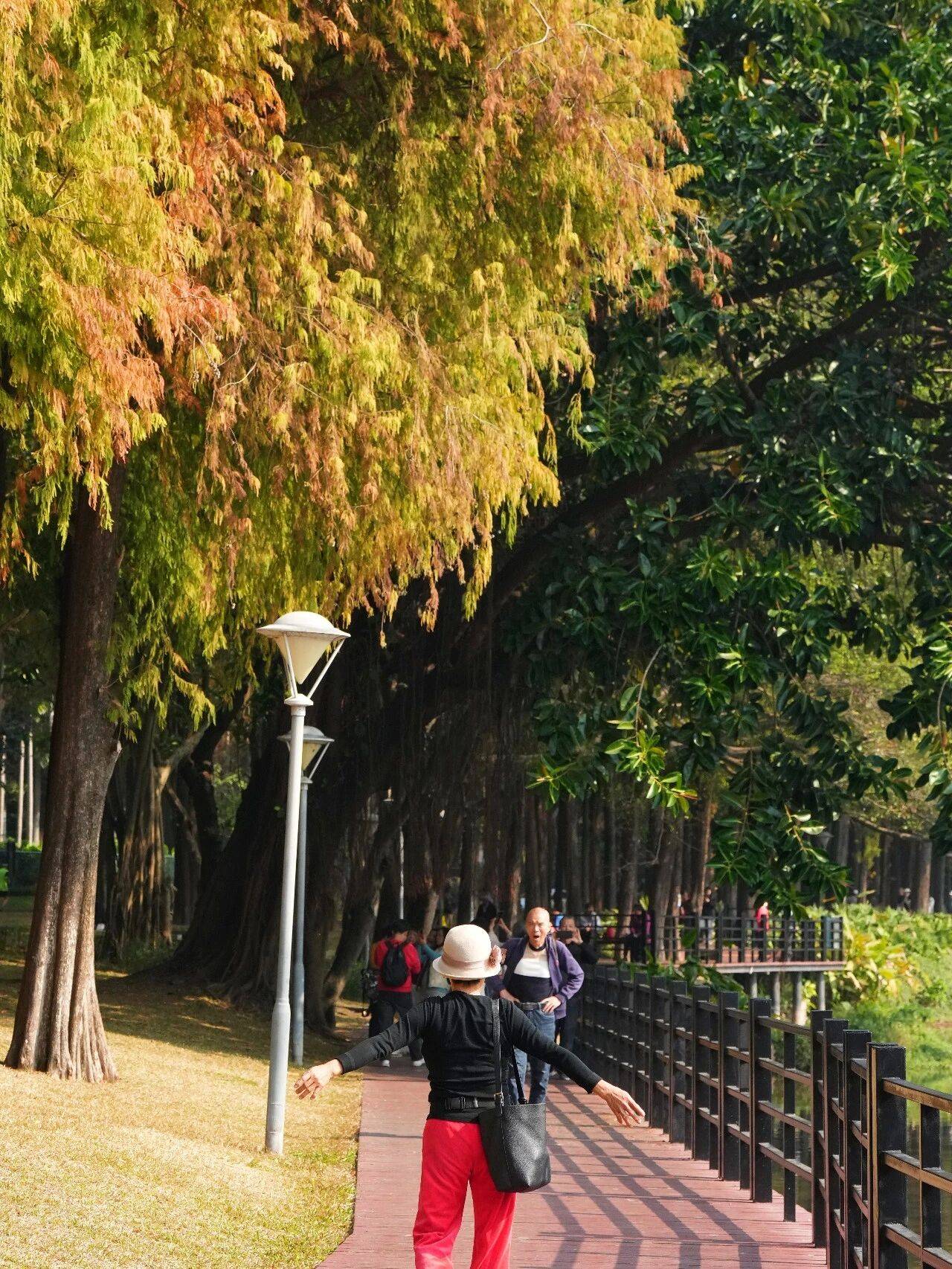 快来接住这好运色