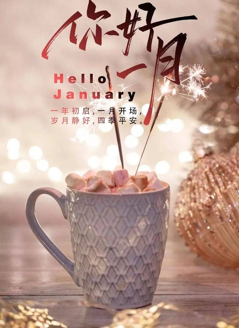 图书馆12月入馆数据回顾