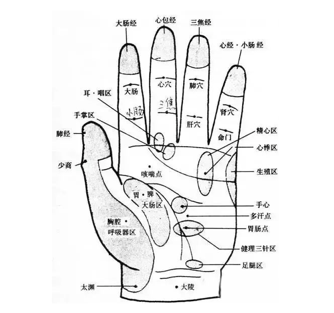 穴位_左手腕_方法