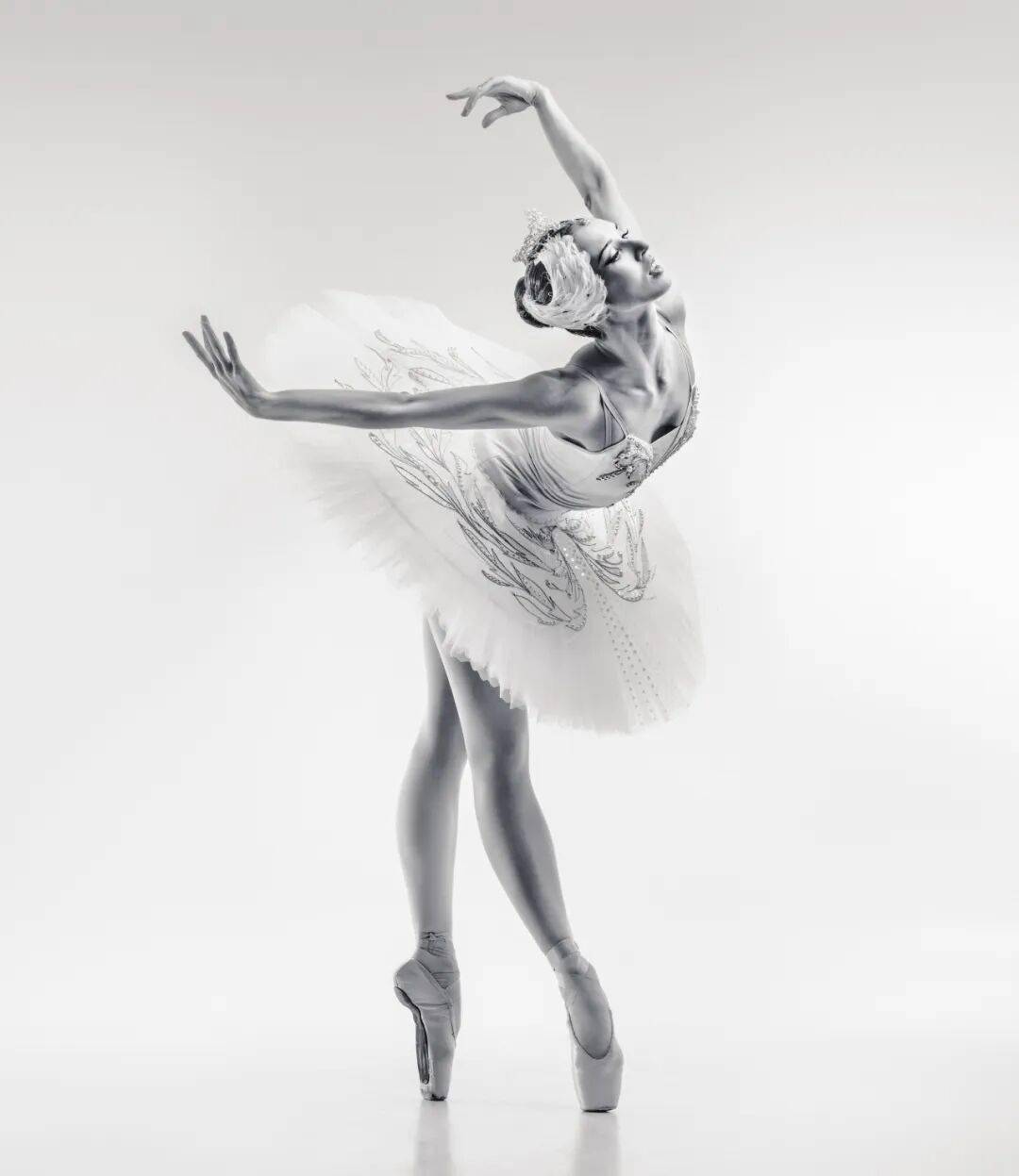 天鹅湖_艺术_ballet