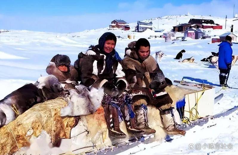 ��ҷ������𣿸��������ϵ���Ŧ���ˣ�����һ���й��˵���ף���Щ��Ŧ���˺�ͷ������Ƥ�����۾�������ȥ�����й��ˣ�����е������_�Ѻ���