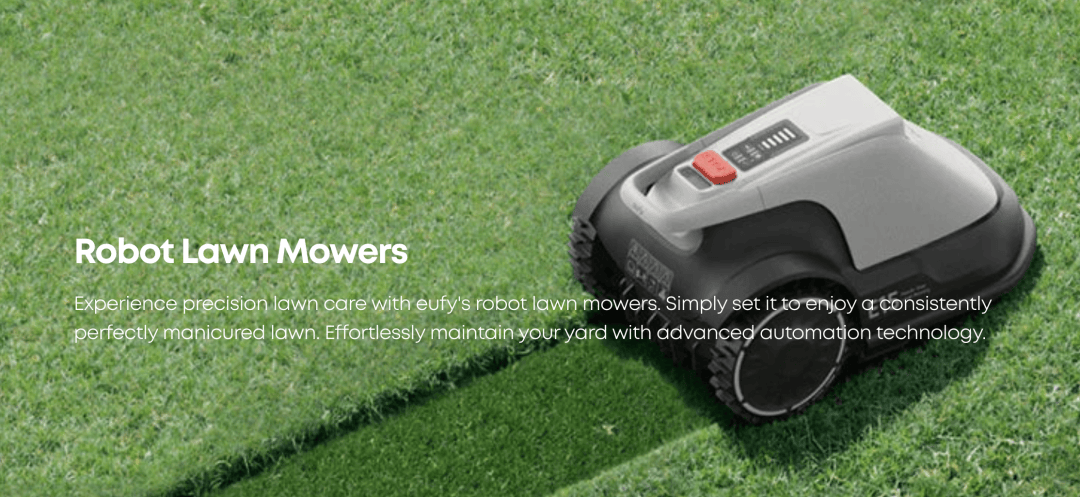 2026����˹ά��˹���ѵ���չ�ֱ��й�����ռ�죿