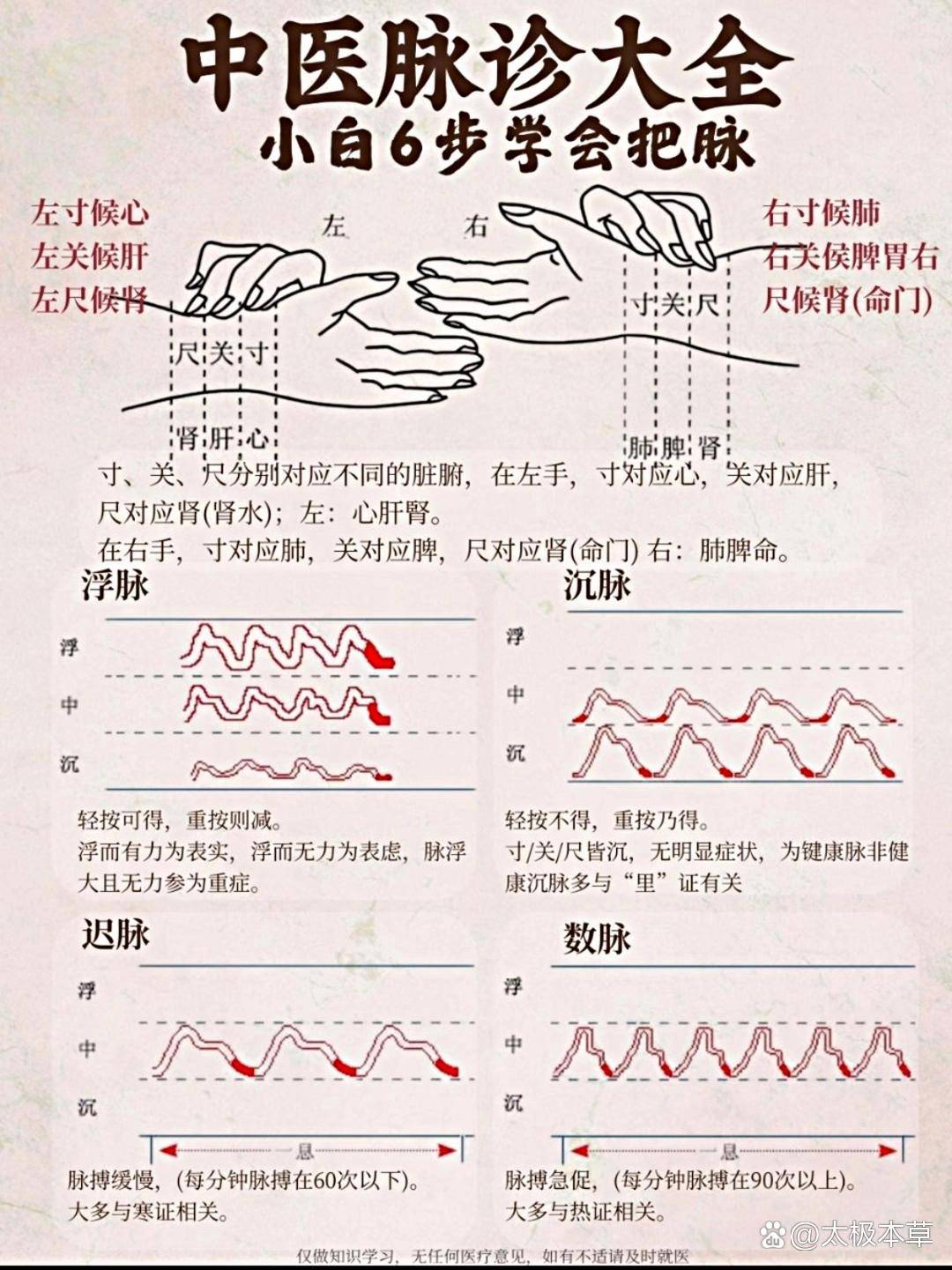 小白必看|秒懂中医28脉,超详细图解!以前在大厂卷到焦虑头发大把掉,去看中易每次都被诊脉环节整懵。说的“弦脉”“滑脉”根本听不懂。裸辞后沉下心 ...