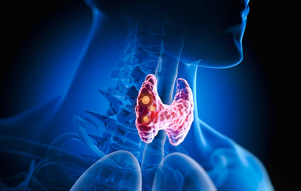 中国首个甲状腺癌术后“精准检测”新药获批，泽璟制药注射用人促甲状腺素β获批上市