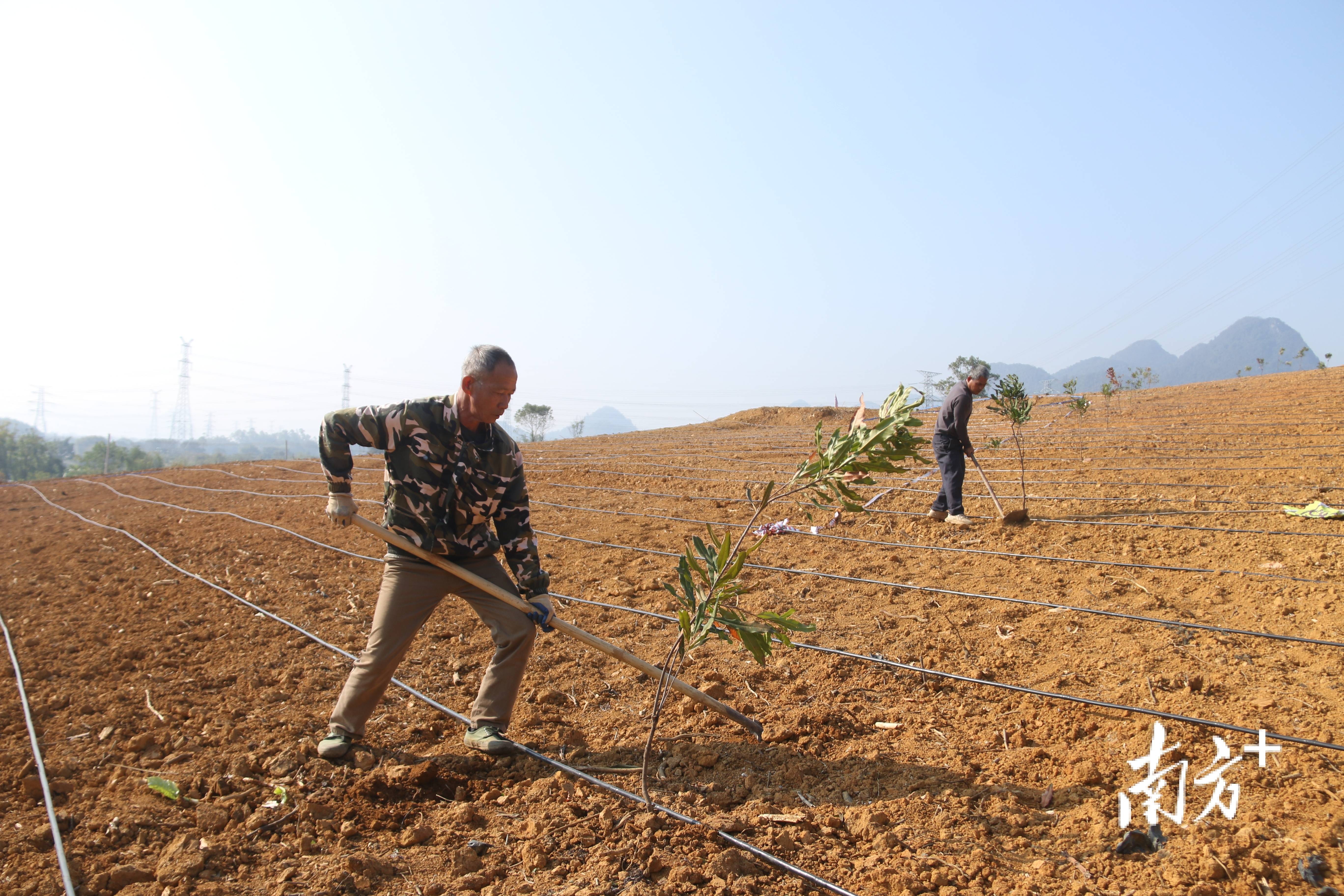 横石塘镇驻镇助镇扶村职责队：深化“四大助扶”开足马力谋“镇”兴