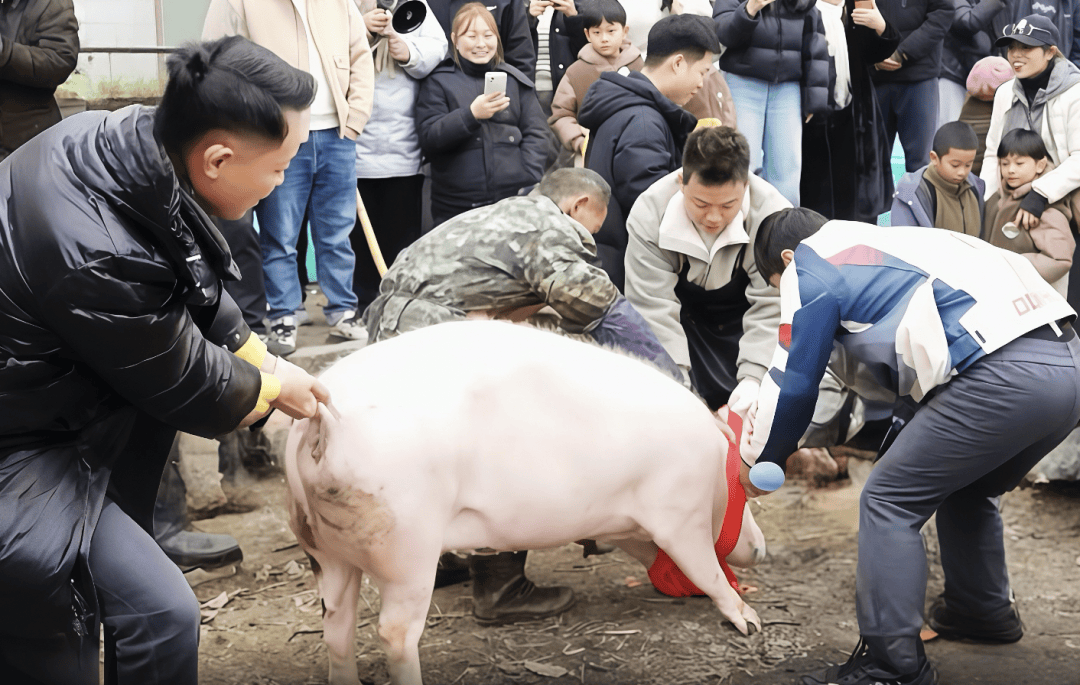 评论丨从“摇人按猪”到跟风模仿，复刻、走味，还是出新？