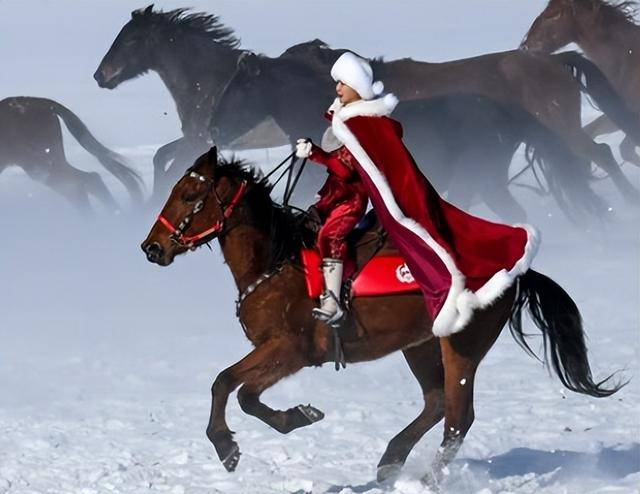 贺娇龙追悼会举行！丈夫悲痛送别妻子，主编透露坠马原因