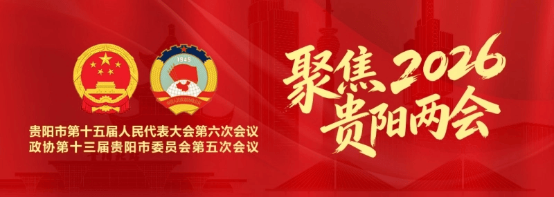 聚焦贵阳市两会 | 张燕飞代表：从“一张蓝图”到“万吨产能”的扎根者_贵州_企业_发展