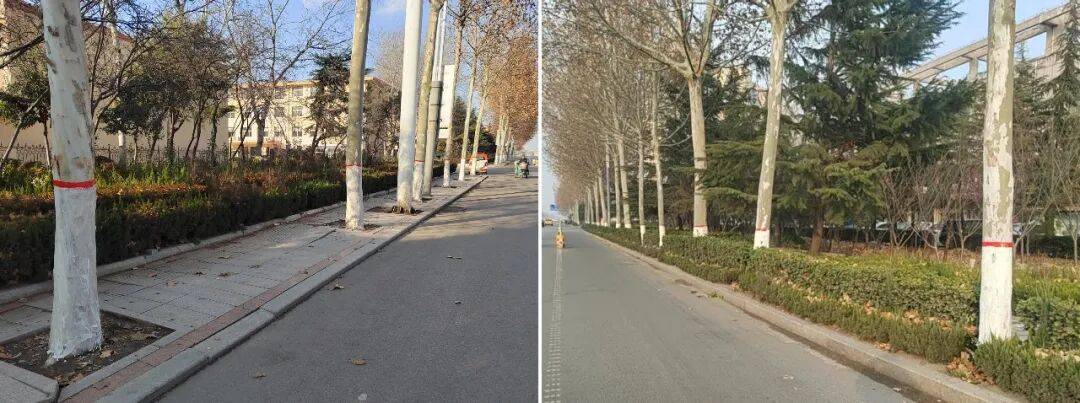 区县讯息丨打好绿化养护“组合拳”扮靓都邑