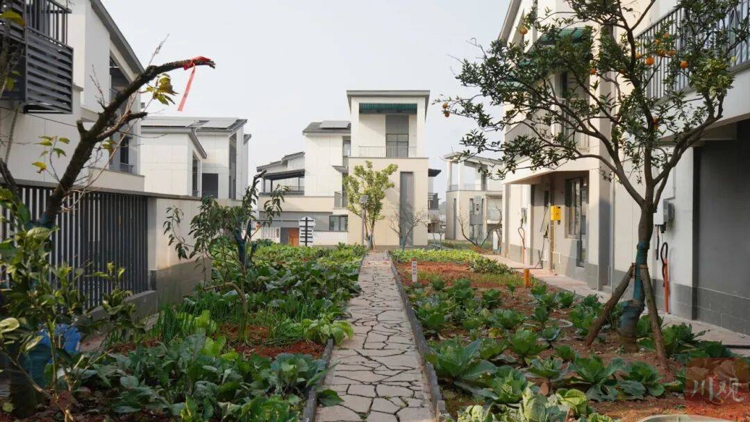 田园不远 工作很近！宜宾乡村风貌背后的城乡融合新路径多宝体育- 多宝体育官网- APP下载