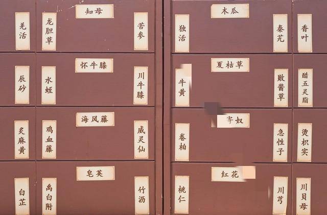 干货：一味药治疗秃疮！老杂志认证的川楝子膏，简单有效！