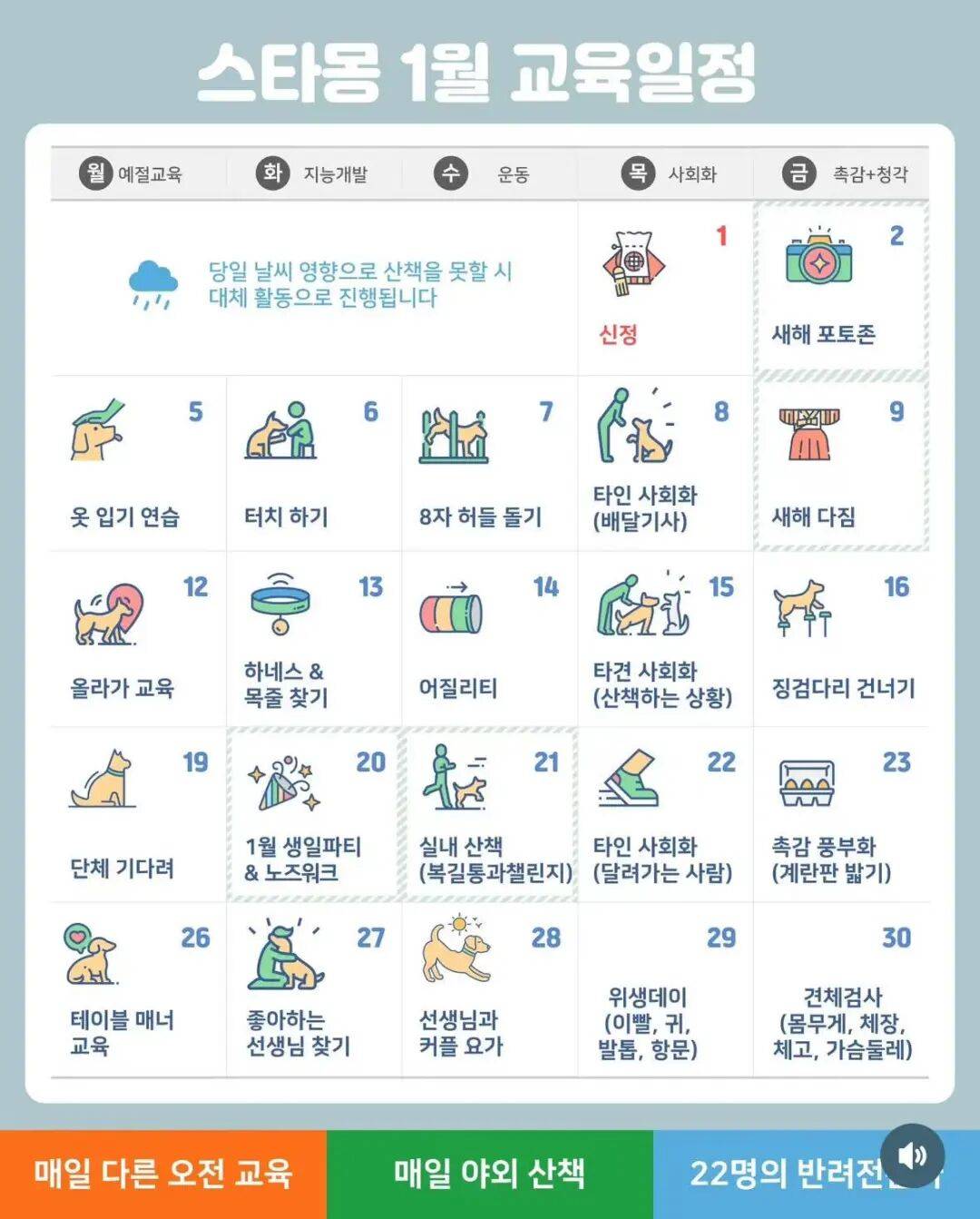 不生孩子的韩国年轻人，花几千元送狗上学？-华闻时空