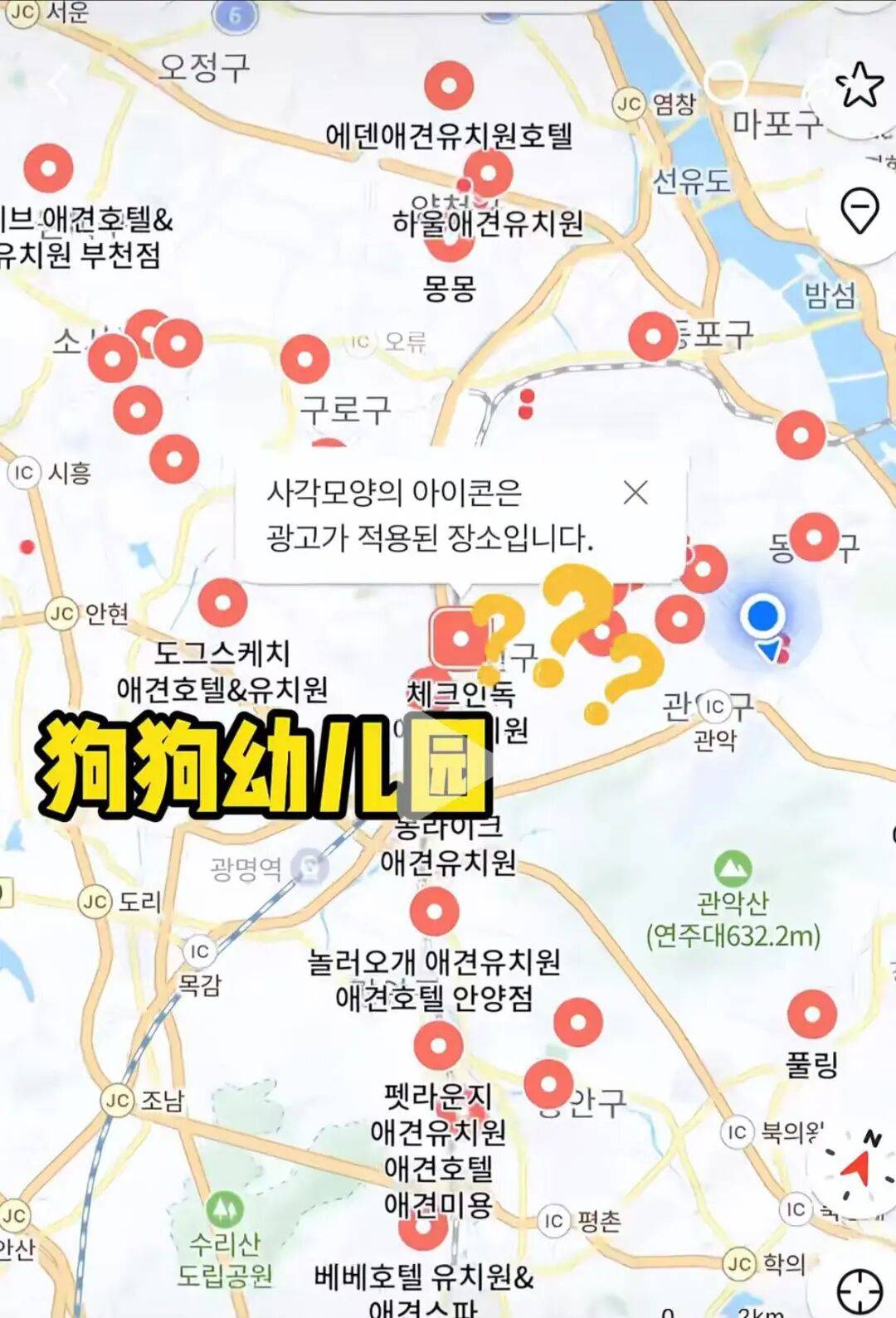 图片[4]-不生孩子的韩国年轻人，花几千元送狗上学？-华闻时空