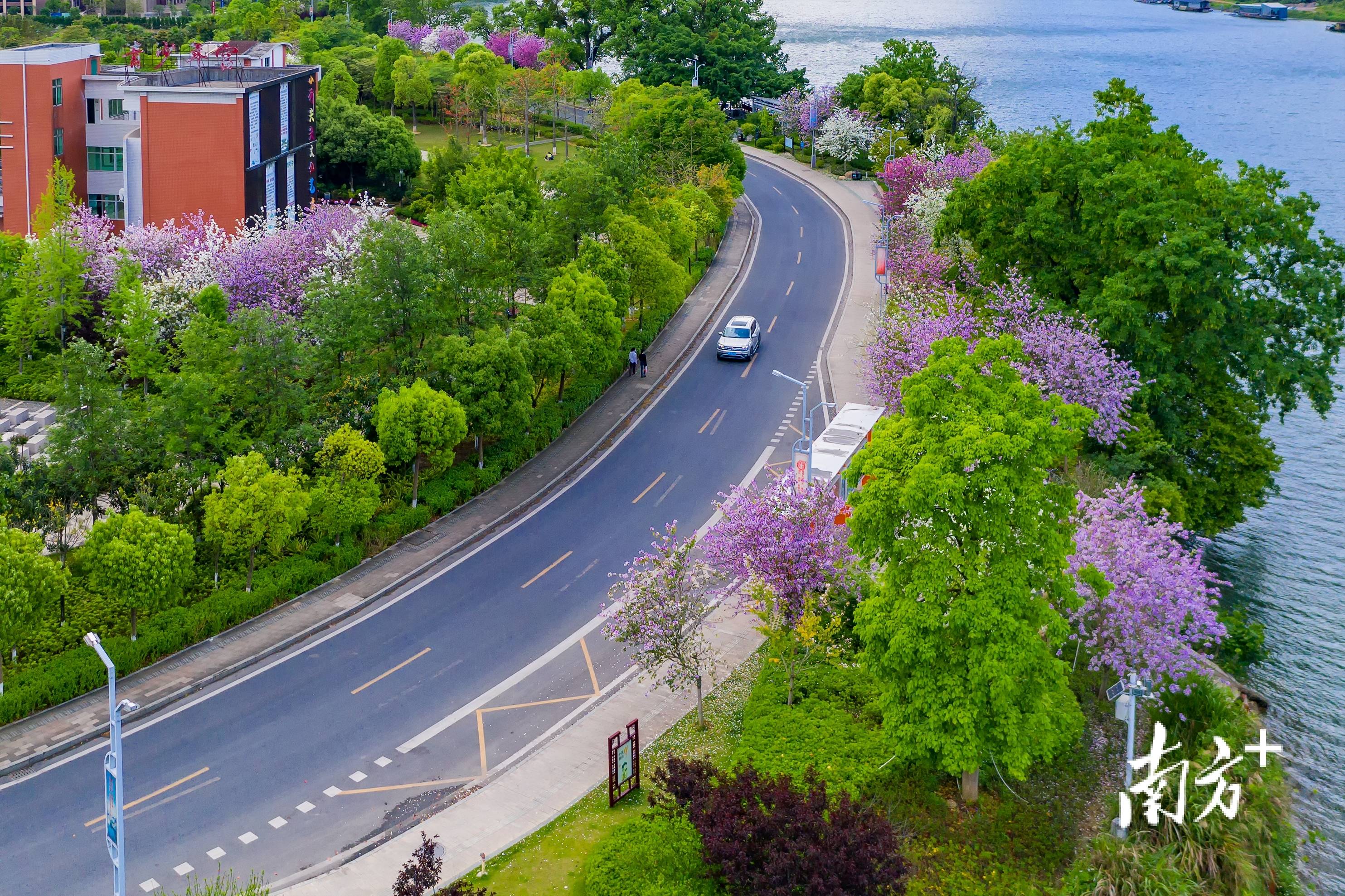 非凡“十四五”｜“道”畅阳山“惠”暖民生