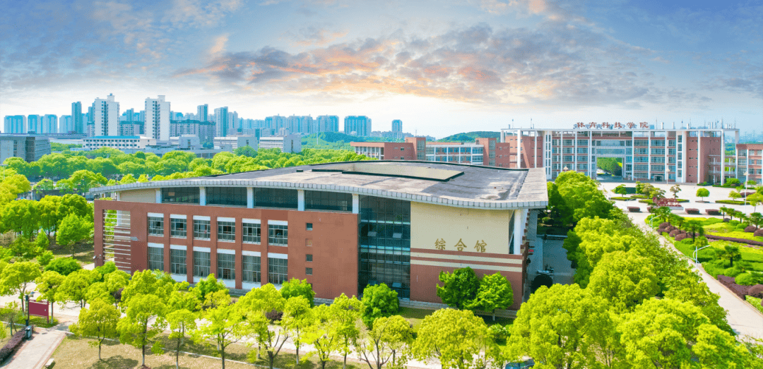 文章配图-3