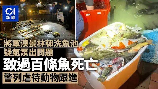 香港百条鱼「非正常死亡」惊动警方！市民：简直是谋杀！