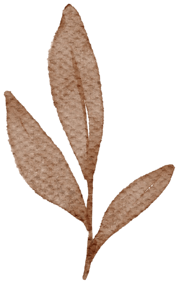 简析牙克石市《万里茶道之森林茶道与赵家店》的论证