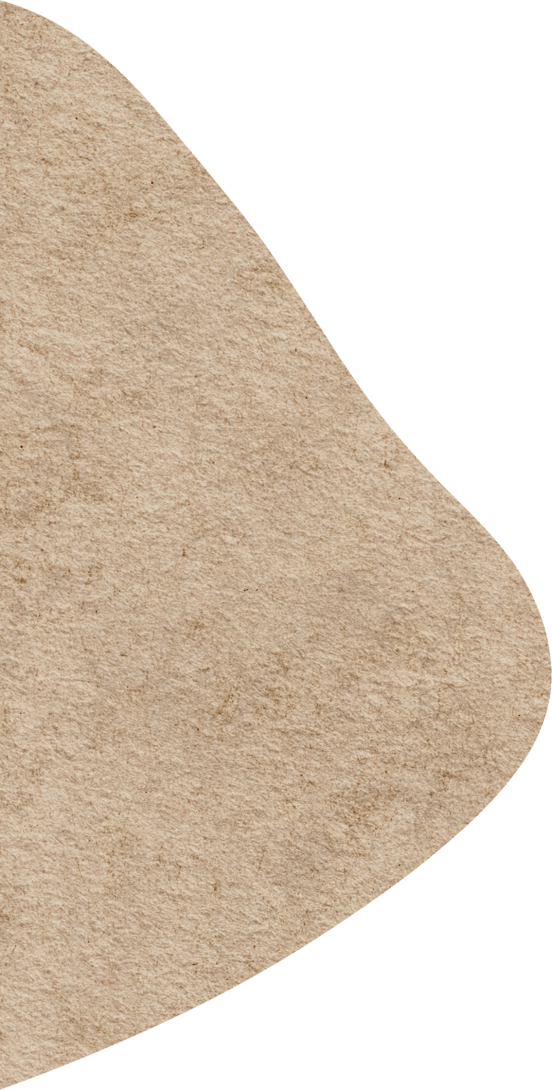 陈明仁将军后人向我馆捐赠珍贵书籍