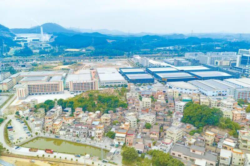 【奋战“百千万工程”】奋勇争先!蓬江区棠