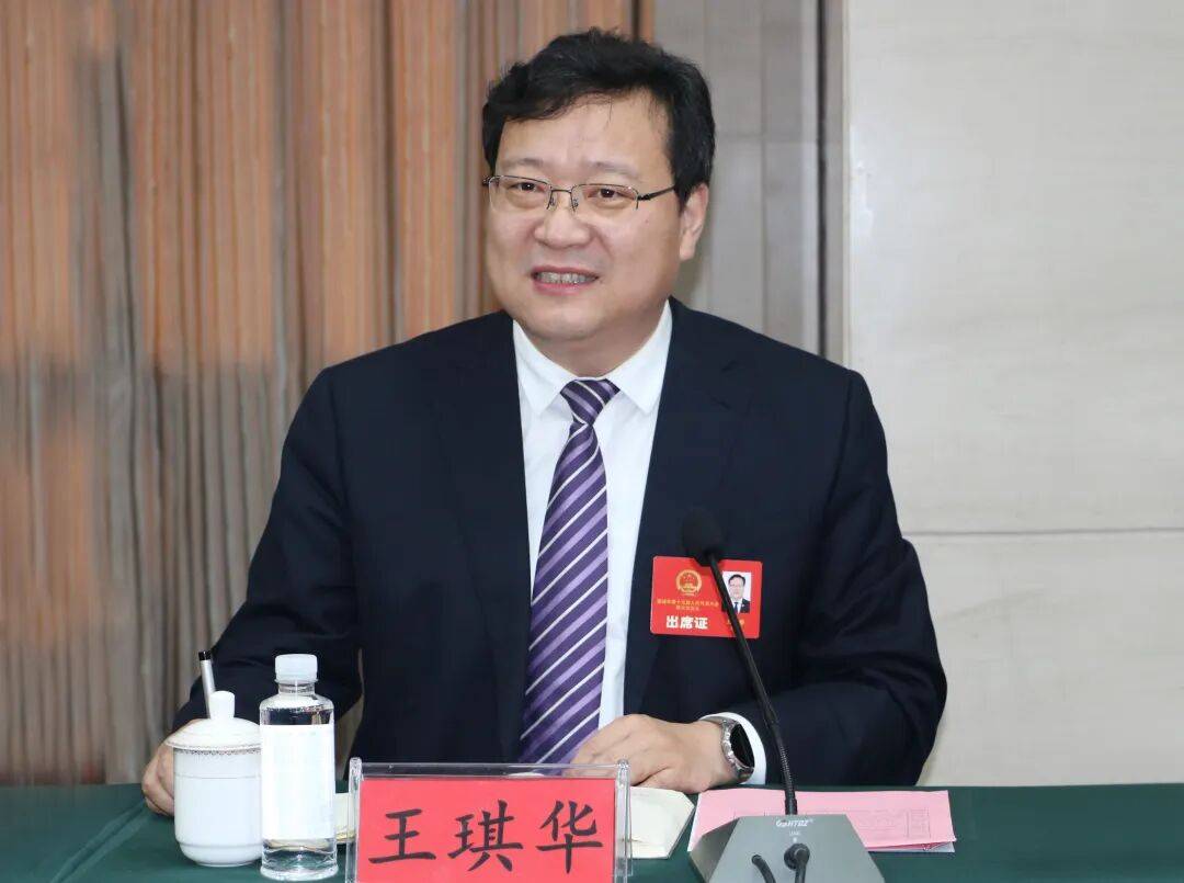 王琪华参加龙都代表团审议_发展_诸城_工作