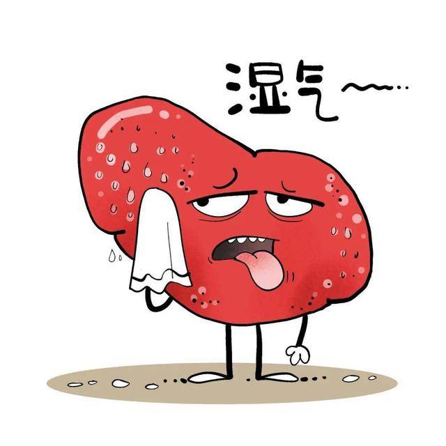 它是真正的“祛湿王”，先升阳，再化湿，一身湿气都清空