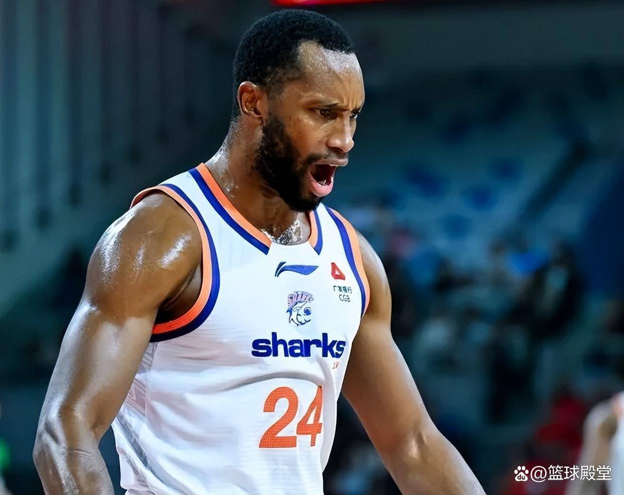 CBA盘口与数据深度__今日CBA盘口分析·大小分策略·球队档案上海杯赛成最大赢家！弗格展得分爆发力崔晓龙+2小将打成轮换！