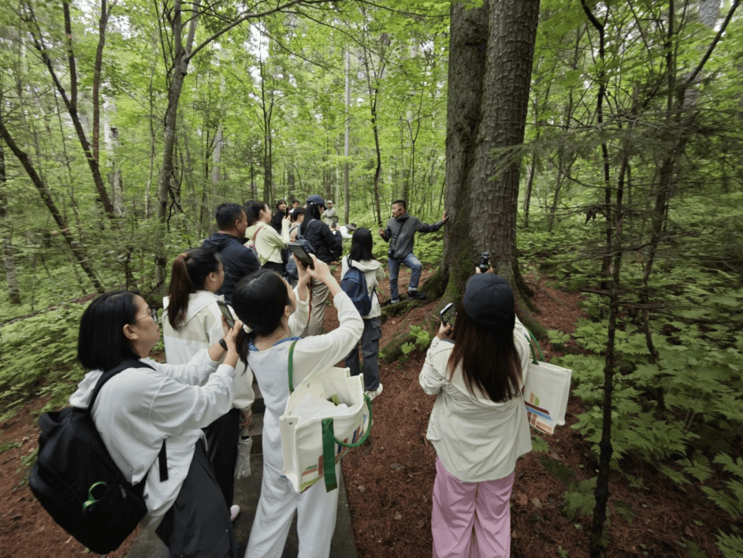 在线体育博彩- 合法体育、彩票和赛马- 