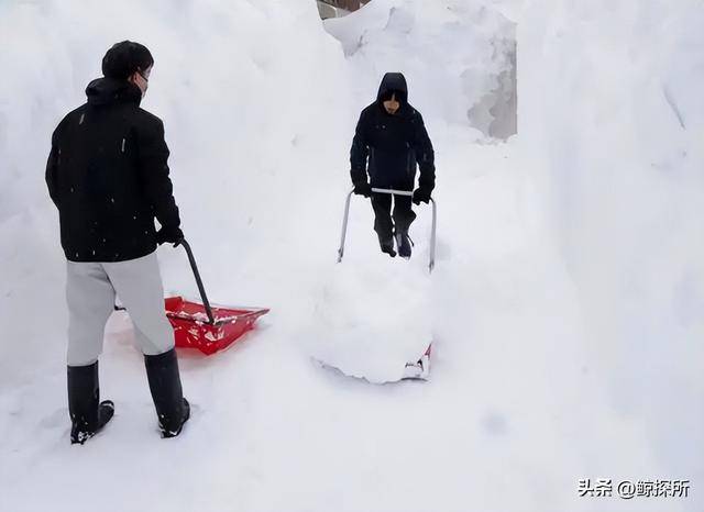 博鱼体育- 博鱼体育官网- APP下载世界杯指定平台日本传来