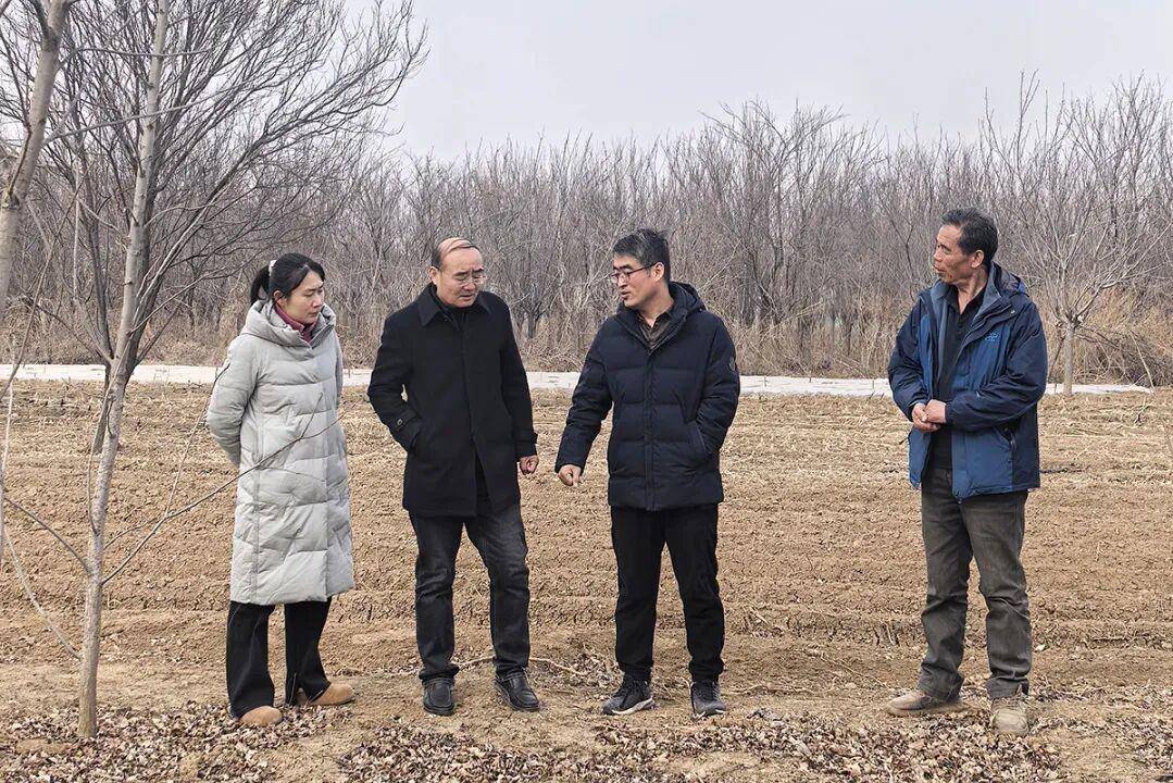 乡村振兴山东科技特派雷速体育- 雷速体育app下载- 足球篮球专业直播平台员在行